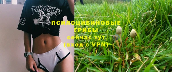 не бодяженный Иннополис